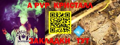 шишки Нальчик