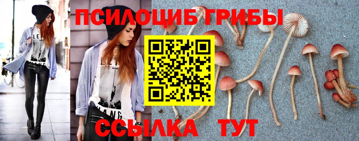 Тобольск  Галлюциногенные грибы Psilocybe  Вход с VPN  Галлюциногенные грибы мицелий 